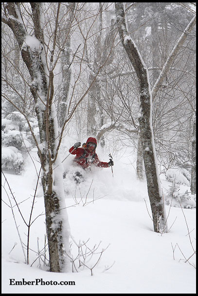 VT01EJ39EMB VT01EJ39EMB