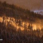 Green Mountains, Vermont, USA