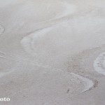 ©Ember Photography - Dirty Corn -Green Mountains, Vermont