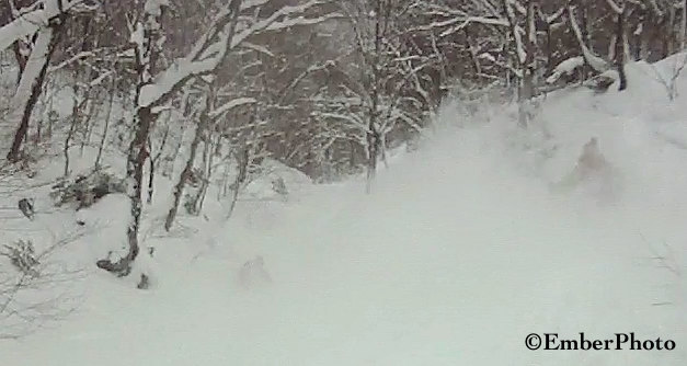 Powder skiing in Vermont's Green Mountains - ©Brian Mohr/EmberPhoto